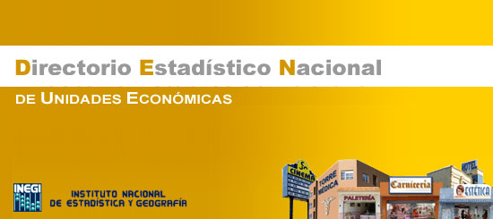 Curso del Directorio Estadístico Nacional de Unidades Económicas