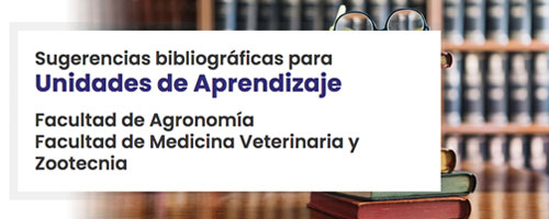 Sugerencias Bibliográficas