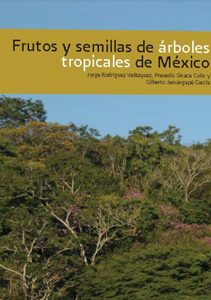 Frutos y semillas de árboles tropicales de México