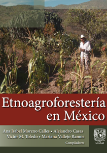 Etnoagroforestería en México