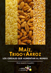 Maíz, trigo y arroz: los cereales que alimentan al mundo