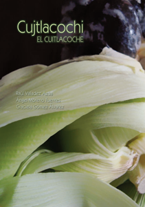 Cujtlacochi: el cuitlacoche