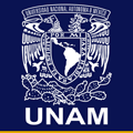Repositorio Institucional UNAM