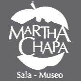 Sitio Web Sala-Museo Martha Chapa